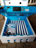 64 eggs incubator